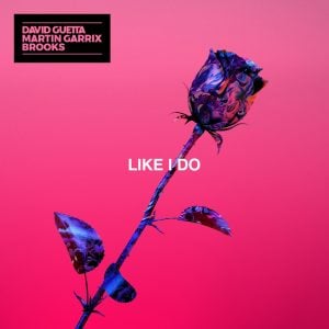 David Guetta & Martin Garrix - Like I Do